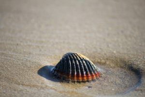 vacanza-mindful